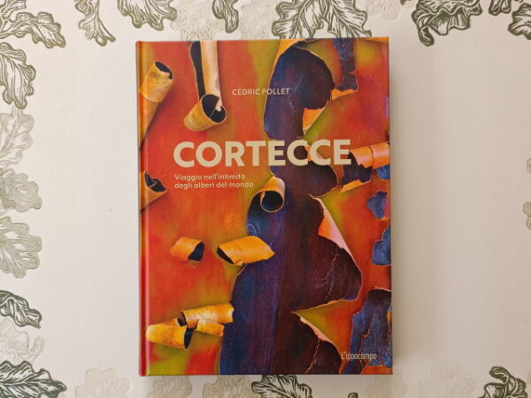 Cortecce